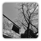 �΋� I�@ / �ؑ�����