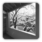 �΋� I�@ / �ؑ�����