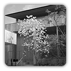 ���s Y�@ / �ؑ�2�K��