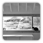 ���l�� S�@ / �ؑ������i�G���f�ځj