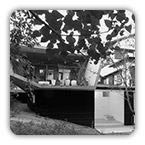 �m���s Y�@