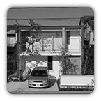 ���C�s M�@